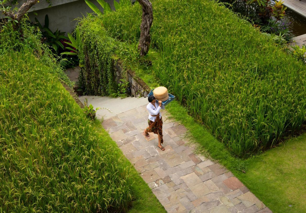 乌布 阿迪瓦娜苏维塔-Chse认证酒店 外观 照片 A farmer in Bali