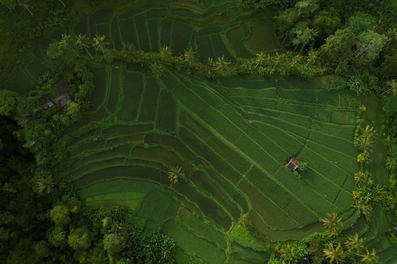 乌布 阿迪瓦娜苏维塔-Chse认证酒店 外观 照片 Aerial view of a rice paddy in Bali, Indonesia
